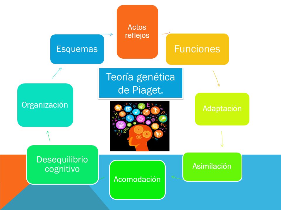 MEBA M dulo 2. Evaluaci n de la practica profesional. ppt video